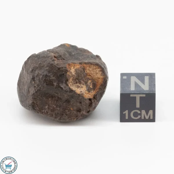 NWA 11700 Meteorite 16.3g