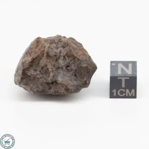 NWA 11700 Meteorite 20.4g