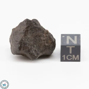 NWA 11700 Meteorite 8.6g