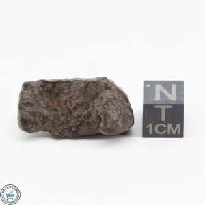 NWA 11700 Meteorite 8.1g
