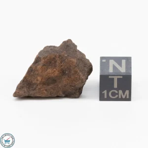 NWA 11700 Meteorite 5.8g