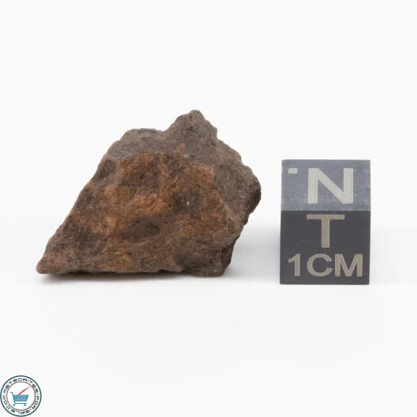 NWA 11700 Meteorite 5.8g