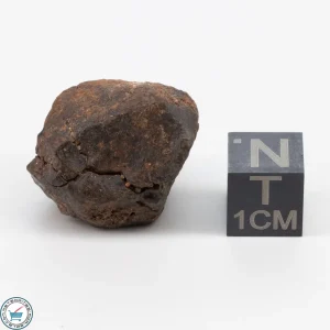 NWA 11700 Meteorite 12.4g
