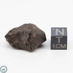 NWA 11700 Meteorite 9.4g