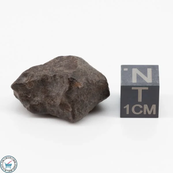 NWA 11700 Meteorite 9.4g
