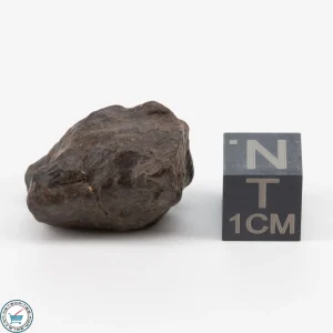 NWA 11700 Meteorite 8.2g