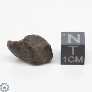 NWA 11700 Meteorite 4.2g
