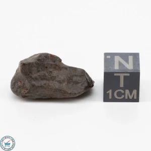 NWA 11700 Meteorite 4.7g