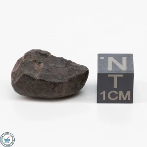 NWA 11700 Meteorite 4.8g