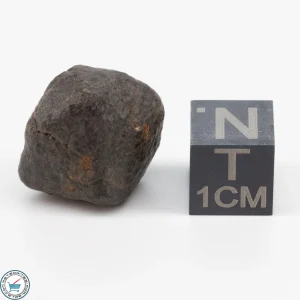 NWA 11700 Meteorite 6g