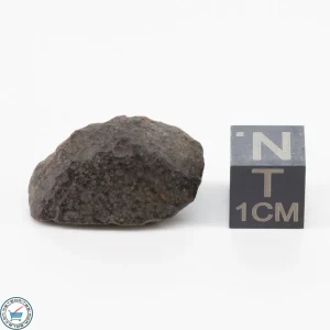 NWA 11700 Meteorite 5.6g