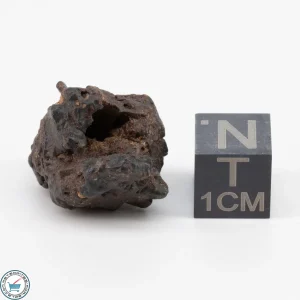 NWA 11700 Meteorite 6.7g