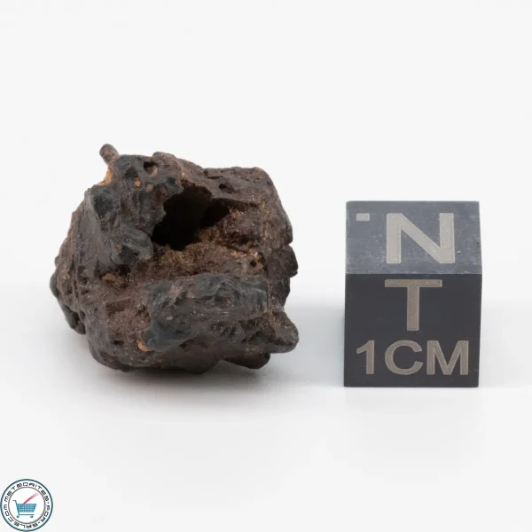 NWA 11700 Meteorite 6.7g