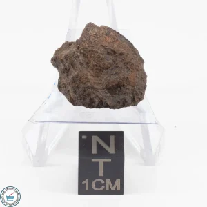 NWA 11700 Meteorite 5g
