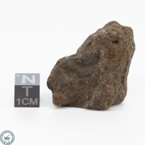 Admire Pallasite Meteorite 29.8g Nugget