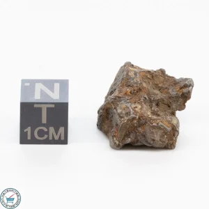Admire Pallasite Meteorite 10.1g Nugget