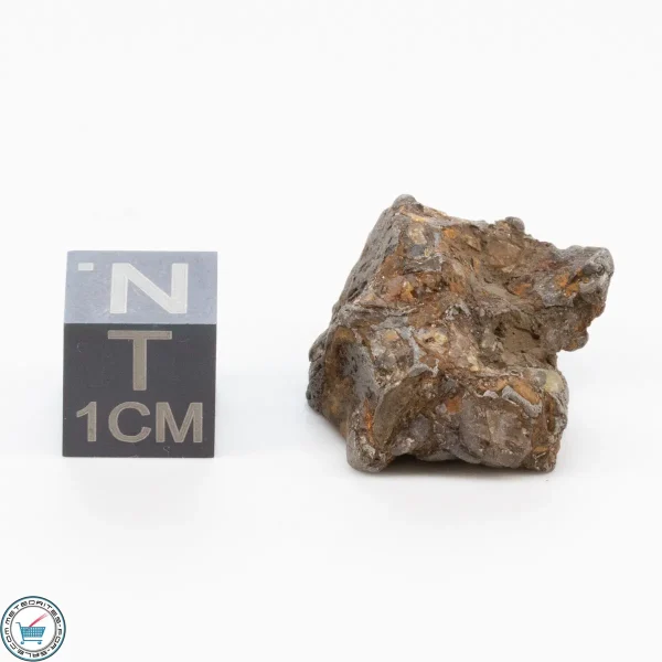 Admire Pallasite Meteorite 10.1g Nugget