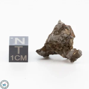 Admire Pallasite Meteorite 8.8g Nugget