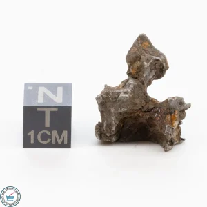 Admire Pallasite Meteorite 6.7g Nugget