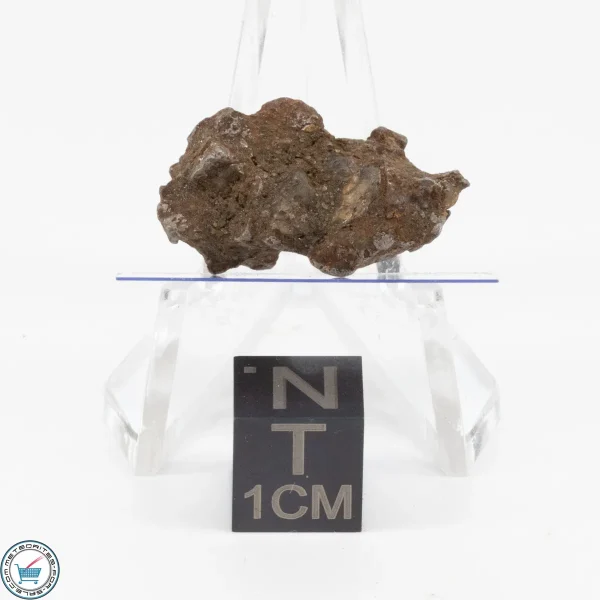 Admire Pallasite Meteorite 5.1g Nugget
