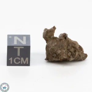 Admire Pallasite Meteorite 5.2g Nugget