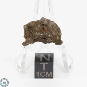 Admire Pallasite Meteorite 5.8g Nugget