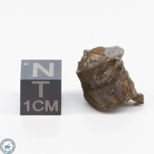 Admire Pallasite Meteorite 5g Nugget