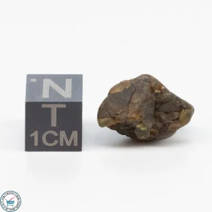 Admire Pallasite Meteorite 2.5g Nugget
