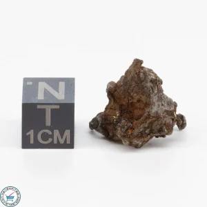 Admire Pallasite Meteorite 3.5g Nugget