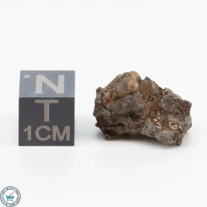 Admire Pallasite Meteorite 3.9g Nugget