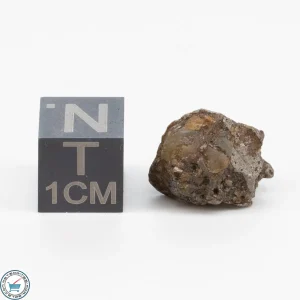 Admire Pallasite Meteorite 3.3g Nugget
