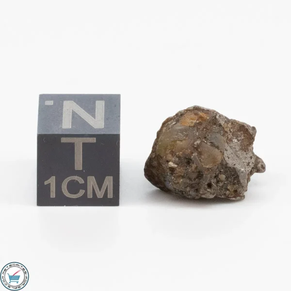 Admire Pallasite Meteorite 3.3g Nugget