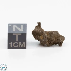 Admire Pallasite Meteorite 2.3g Nugget