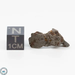 Admire Pallasite Meteorite 3.8g Nugget