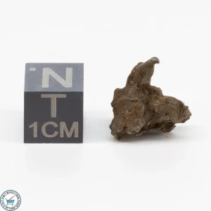 Admire Pallasite Meteorite 2.5g Nugget