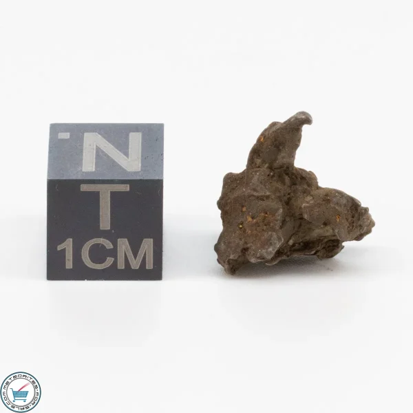 Admire Pallasite Meteorite 2.5g Nugget