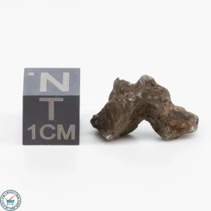 Admire Pallasite Meteorite 2.4g Nugget