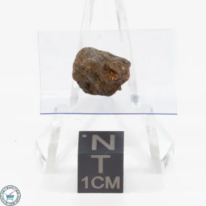 Admire Pallasite Meteorite 1.2g Nugget