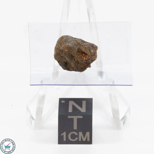 Admire Pallasite Meteorite 1.2g Nugget