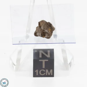 Admire Pallasite Meteorite 1.3g Nugget