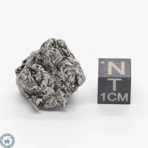 Aletai Meteorite 18.5g Crystal