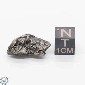 Aletai Meteorite 6.9g Crystal