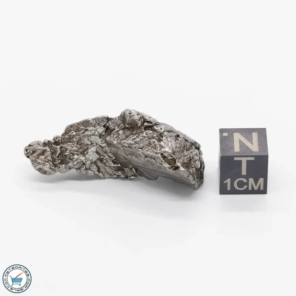Aletai Meteorite 19.6g Crystal