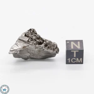 Aletai Meteorite 15.8g Crystal