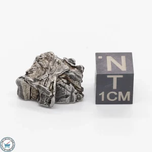 Aletai Meteorite 6.9g Crystal