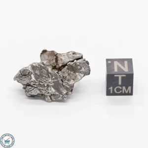 Aletai Meteorite 9.8g Crystal