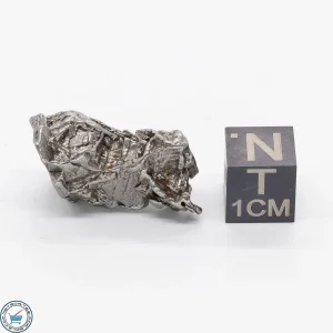 Aletai Meteorite 12.3g Crystal