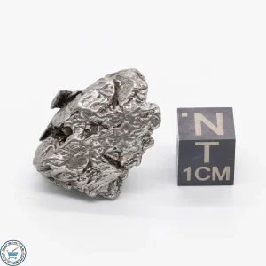 Aletai Meteorite 18.3g Crystal