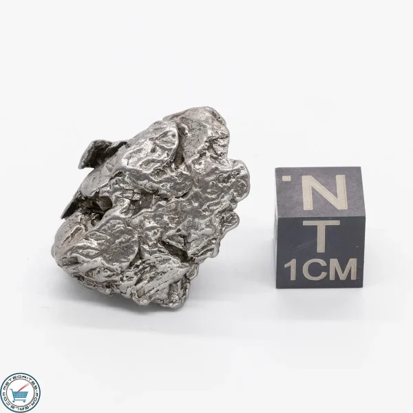 Aletai Meteorite 18.3g Crystal
