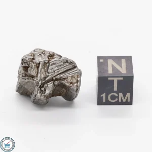 Aletai Meteorite 11.7g Crystal
